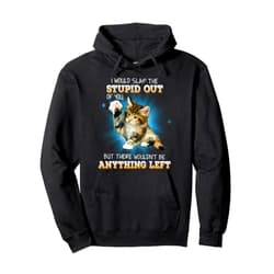 I Would Slap The Stupid Out Of You & Cats Lover I Would Slap The Stupid Out Of You Funny Cats Lover Pullover Hoodie