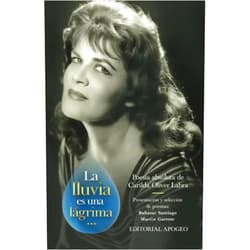 Baltasar Santiago Martin,Abel Garcia La lluvia es una lágrima (Spanish Edition)