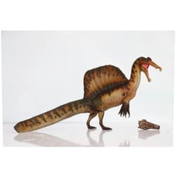 WLNTDOLA PNSO Dinosaur Museums Series 19AYMEN The Spinosaurus 1:35 Scientific Art Model PVC Animal Figure Gift for Adult