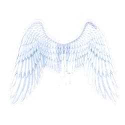 Anbaby 3D Printed Feathers Angle Wings Festive Party Props Angel Wings Costumes for Cosplay Decorative Wings