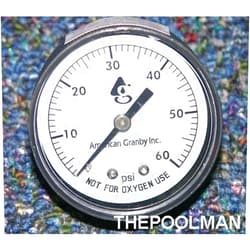 American Granby EIPPG602-4B Pressure Gauge Back Mount