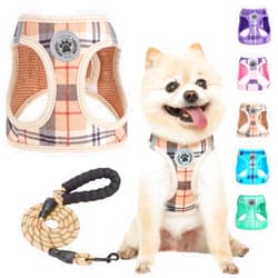 BEAUTYZOO Small Plaid Dog Harness and Leash Set for XS S Pets, Step in No Chock No Pull Soft Mesh Dog Vest Harnesses Reflective for Extra-Small/Small Medium Puppy Dogs and Cats, Beige S