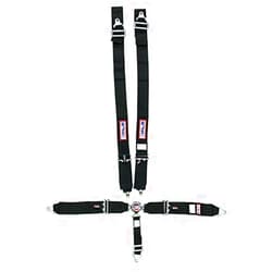 RJS Racing Equipment 1034101 Harness System, Black