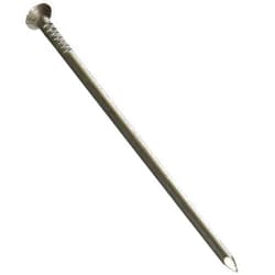 HSI PROFESSIONAL HSI 906672 – Polished Iron Nail Flat Head 1.02 x 120 mm – 6 Pieces