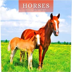 Red Robin Publishing 2023 Horses Monthly Wall Calendar by Red Robin Calendars 12