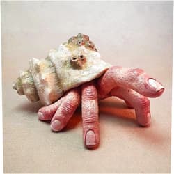 Boddenly FingerCrab Statue, Desktop Ornament Halloween Home Decor, Finger Hermit Crab Creepy Weird Realistic Horror Resin Model, Finger Crab Frightening Sculpture, Rated R Scary Movie Props, Creative Gift