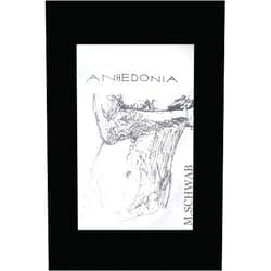 Michael Schwab Anhedonia: The Short Story and Other Poems