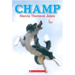 By Marcia Thornton Jones (Author) Champ