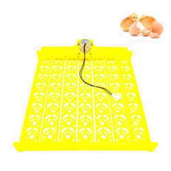 Morishima Automatic Multifunction Incubator Egg Tray With 110V Motor Turning Hatcher for Chickens/Ducks/Birds/Poultry (56-tray-110V)