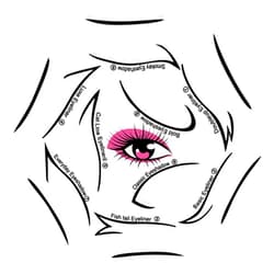 Booge 4 Sheets Six in One Cat Eyeliner Stencil, Reusable Eyeliner Stencils Eyeshadow Stencils for Eyes with Perfect Winged Tip for Eyeliner Eyeshadow Extensions