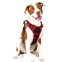 rabbitgoo Dog Harness No Pull with 2 Leash Clips, Adjustable Soft Padded, Reflective Oxford No Choke Pet Vest with Easy Control Handle for Large Dogs, Black & Red, L