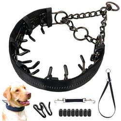 Mayerzon Martingale Prong Collar for Dogs, Reflective Pinch Collar with Cover and Adjustable Stainless Steel Links for Small Medium Large Dogs, No Pull Dog Collar with Backup Collar and Clip