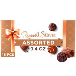 Russell Stover, Assorted Milk and Dark Chocolates, Chocolate Gift Box, 9.4 Ounce (17 Pieces)