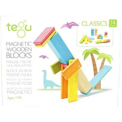 Tegu 14 Piece Magnetic Wooden Block Set in Tints