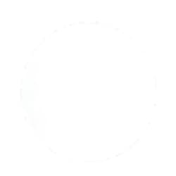 Deschem 90mm,0.10 Micron,PTFE Membrane Filter,OD 9CM,50pcs/Pack