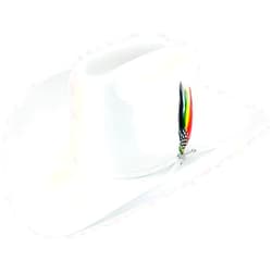 Stetson Rancher 6X Felt Black Cowboy Hat (SFRNCH-014007)