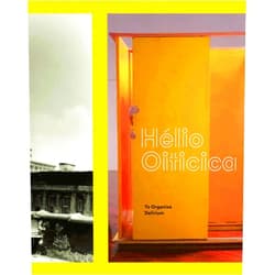 Lynn Zelevansky,Elisabeth Sussman,James Rondeau,Donna De Salvo,Anna Katherine Brodbeck Hélio Oiticica: To Organize Delirium