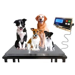 Liberty Scales Liberty LS-922 Vet Scale Livestock Scale Hog Scale Goat Sheep Alpaca Pig Farm Scale | 43