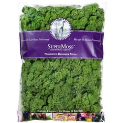 SuperMoss (25154) Reindeer Moss Preserved, Basil, 16 Ounces