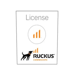 Ruckus Wireless L09-0001-VSPT - 1 AP Capacity License for vSPoT