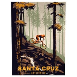 Art of Place Santa Cruz California Rock Waterfall Downhill Mountain Biker Giclee Art Print Poster from Illustration by Illustrator Sassan Filsoof 9