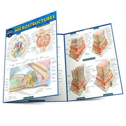 Vincent Perez Anatomy Microstructures: a QuickStudy Laminated Reference Guide