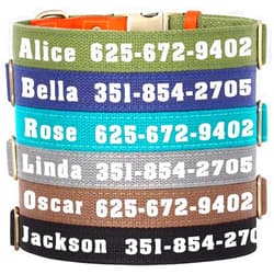 KINYABLUE Custom Dog Collar with Large Name and Phone Number, Heavy Duty Quick Release Dog Collar with Metal Buckle, Adjustable Durable Nylon Dog Collar Personalized for Small Medium Large Dogs, S