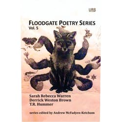 Sarah Rebecca Warren,Derrick Weston Brown,T. R. Hummer,Andrew McFadyen-Ketchum Floodgate Poetry Series Vol. 5