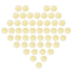 DUCINO 50pairs Nipple Cover, Disposable Breast Pasties, 100pcs Disposable Nipple Covers, suitable for wearing dresses