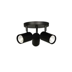 Dainolite Taylor 3 Light Track Light - Matte Black