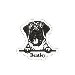 5SECOM Customized Dog Name Patches, Personalized Mastiff Dog Patch Sew Iron on Repair Embroidered Applique DIY Craft Decorative Gifts for Dog Lovers Clothing Jacket Backpack Hat