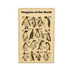 JHAMZPOSTER Animal Penguins Poster Penguins of The World Canvas Wall Art Aesthetic Decorative Painting Living Room Restaurants, Pool Halls And Hotelsstyle 12x18inch(30x45cm)
