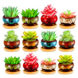 RimCereal 12 Pcs Succulent Pots 2.5 Inch Ceramic Succulent Garden Pots Planters with Drainage and Bamboo Tray for Indoor Garden Plants Planters Colorful Cactus Flower Pot(Round,1.2 Inch H)