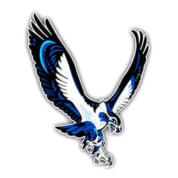 Printcoral Seahawk Bird Logo Car Bumper Sticker Decal