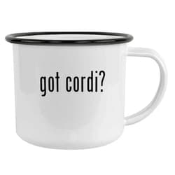 Molandra Products got cordi? - 12oz Camping Mug Stainless Steel, Black