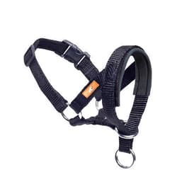 Wintchuk Dog Head Collar, Head Collar with Fabric Padded, Adjustable Training Tool Stop Dog's Pulling (M, Black)