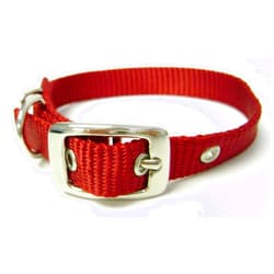 HamiltonBuhl Hamilton 5/8-Inch by 16-Inch Single Thick Nylon Deluxe Dog Collar, Red