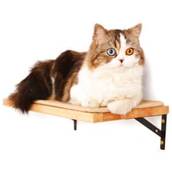 FUKUMARU Cat Wall Shelves, 16 x 10 Inch Cat Wall Furniture with Sisal Mat, Solid Rubber Wood Floating Wall Shelf with Upgraded Installation, Cat Window Perch for Sleeping, Playing and Scratching