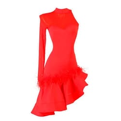 AIYUNC Women's Single Sleeve Latin Skirt, Ballroom Dance Dresses Competition Clothing, Off-Shoulder Rumba Samba Cha Cha Dance Clothing