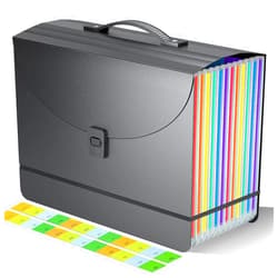Fun storage Expanding File Folder/Accordion File Organizer/Portable File Box with 13 Pockets,Fun Storage Filing Folders with Handle,Perfect for Both Standing and Carrying,A4/Letter Size,Colored Tabs,Black Matte