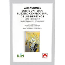 Juan Damián Moreno,Susana Álvarez de Neyra Kappler,Pedro Álvarez Sánchez de Movellán,Alicia Armengot Vilaplana,Teresa Armenta Deu,José María Asencio Mellado,Silvia Barona Vilar,Raquel Bonachera Villegas,José Bonet Navarro,Federico Bueno de Mata,Lorenzo Bujosa Vadell,Manuel Cachón Cadenas,Sonia Calaza López,M.ª Pía Calderón Cuadrado,Raquel Castillejo Manzanares,Rafael Castillo Felipe,Ignacio Colomer Hernández,Luis-Andrés Cucarella Galiana,Ignacio Díez-Picazo,José Francisco Etxeberria Guridi,Ignacio Flores Prada,Leticia Fontestad,Candela Galán González,Juan-Luis Gómez Colomer,Fernando Gómez de Liaño González,Jesús María González García,Ramón Herrera Bravo,Rafael Hinojosa Segovia,Raquel López Jiménez,Antonio María Lorca Navarrete,Fernando Martín Diz,José Martín Ostos,Pilar Martín Ríos,Víctor Moreno Catena,María Lourdes Noya Ferreiro,Francisco Ortego Pérez,Manuel Ortells Ramos,Blanca Otero Otero,Sabela Oubiña Barbolla,María Graciela Pahul Robredo,M.ª Ángeles Pérez Marín,Esther Pillado González,Francisco Ramos Méndez,José-Alberto Revilla González,Nicolás Rodríguez-García,M.ª Isabel Romero Pradas,Eva Isabel Sanjurjo Ríos,Gregorio Serrano Hoyo,Rocío Zafra Espinosa de los Monteros,Piedad González Granda,María Jesús Ariza Colmenarejo Variaciones sobre un tema: el ejercicio procesal de los derechos: Libro homenaje a Valentín Cortés