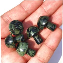 Anlingem 20mm 5pcs Kambaba Quartz Crystal Mushroom skul Sculpture Hand Carved Gemstone Statue Figurine Collectible Healing Reiki (Kambaba Mushroom) AL-KM5