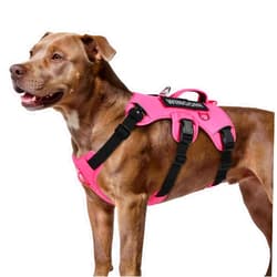 WINGOIN Escape Proof Dog Harness, No Pull Harness for Medium Dogs, Reflective Adjustable Front Clip Pet Harness with Handle, Leash Clip, Metal Buckle, Heavy Duty Dog Vest for Walking Hiking, Pink (M)