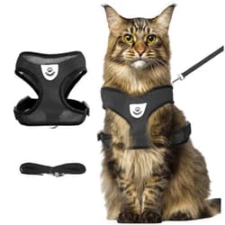 shudyear Summer cat Chest Harness and Leash, Anti-Escape Adjustable Soft mesh cat Leash and Chest Harness Set for All Types of Cats cat Vests (Size XL,Black)