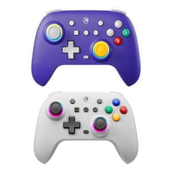ECHTPower Wireless Switch Controller Purple & Gray