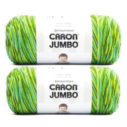 Caron Jumbo Foliage Yarn - 2 Pack of 340g/12 oz - 100% Acrylic - #4 Worsted (Medium) - 595 Yards - Knitting/Crochet