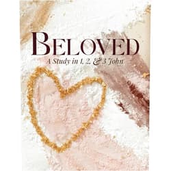 Donna D Gaines,Jean W Stockdale,Dayna C Street,Angie S Wilson,Abbey A Dane Beloved: A Study in 1, 2, and 3 John