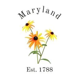 Kelli McLaughlin Maryland State Flower, Black-Eyed Susan, (Rudbeckia hirta) Journal, Notebook Gift for Nature Lovers, Women, Teens, Young Adults: 120 white lined pages, 6