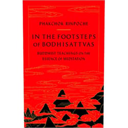 Phakchok Rinpoche,Chokyi Nyima Rinpoche In the Footsteps of Bodhisattvas: Buddhist Teachings on the Essence of Meditation