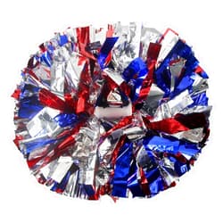 Hooshing 2PCS/6PCS Cheerleading Pom Poms with Baton Handle for Team Spirit Sports Dance Cheering Kids Adults